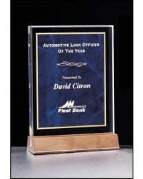 Acrylic award A4157sA with engraving 5" x 7.63" 