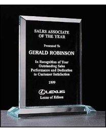 Acrylic award A5467 with engraving 7" x 8.25" 