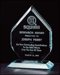 Acrylic award A6406 with engraving 5" x 7.75" 