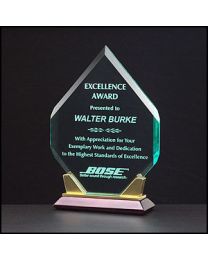 Acrylic award A6506 with engraving 6" x 9" 