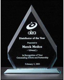 Acrylic award A6510 with engraving 7.13" x 8.75" 