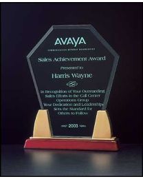 Acrylic award A6542 with engraving 7.5" x 8.75" 