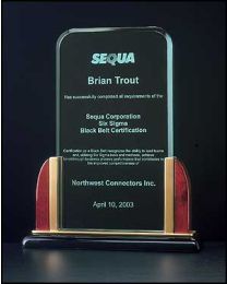 Acrylic award A6550 with engraving 8.63" x 9.75" 
