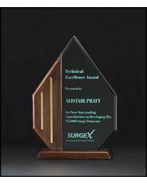 Acrylic award A6566 with engraving 6" x 9.25" 