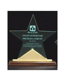 Acrylic award A6578 with engraving 8.63" x 9.25" 