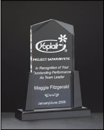 Acrylic award A6585 with engraving 6.5" x 8" 