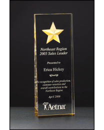 Acrylic award A6595 with engraving 2.88" x 8" 