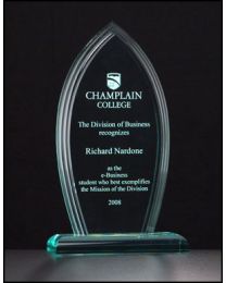 Acrylic award A6707 with engraving 4.25" x 7.75" 