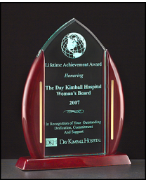 Acrylic award A6802 with engraving 7.5" x 9.625"