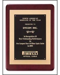 Engraved wall plaque P3629 11" x 15" for recognition 