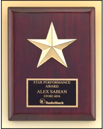 Engraved wall plaque P3992 6" x 8" for recognition 
