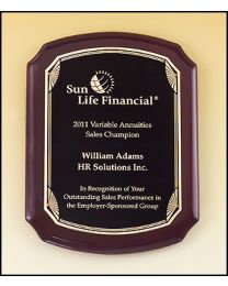 Engraved wall plaque P4534 8" x 10.5" for recognition 