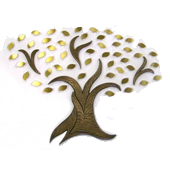 Custom Donor Trees